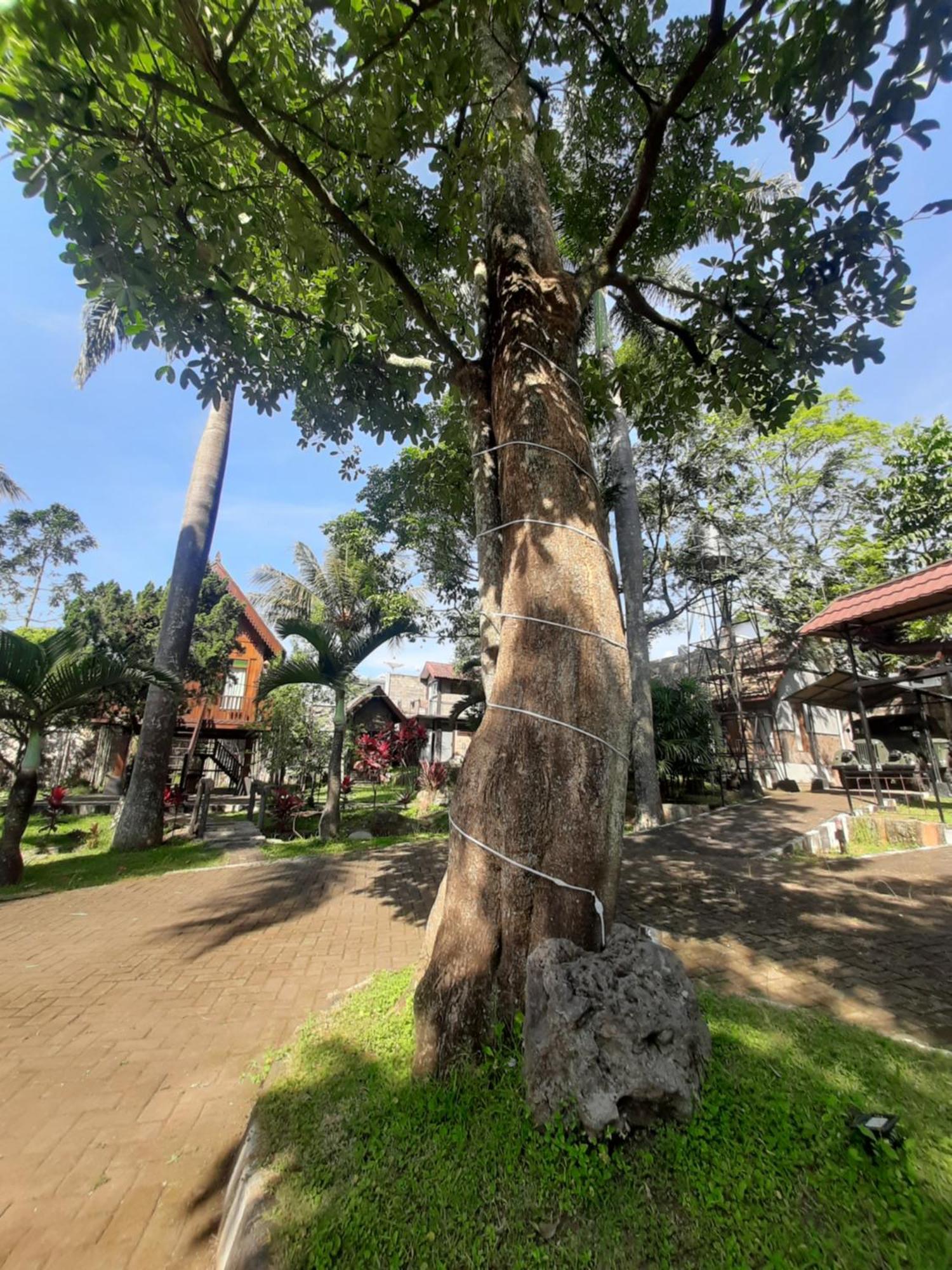 de'Rumah Rindu Alam Batu (East Java) Exterior foto